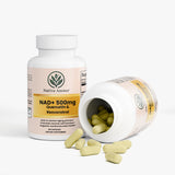 NAD+ Cellular Vitality Formula